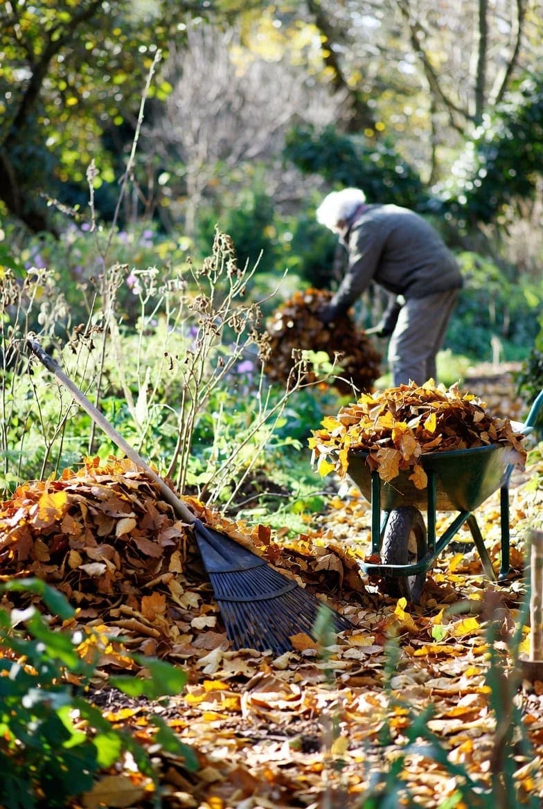 Paskutiniai rudens darbai sode
